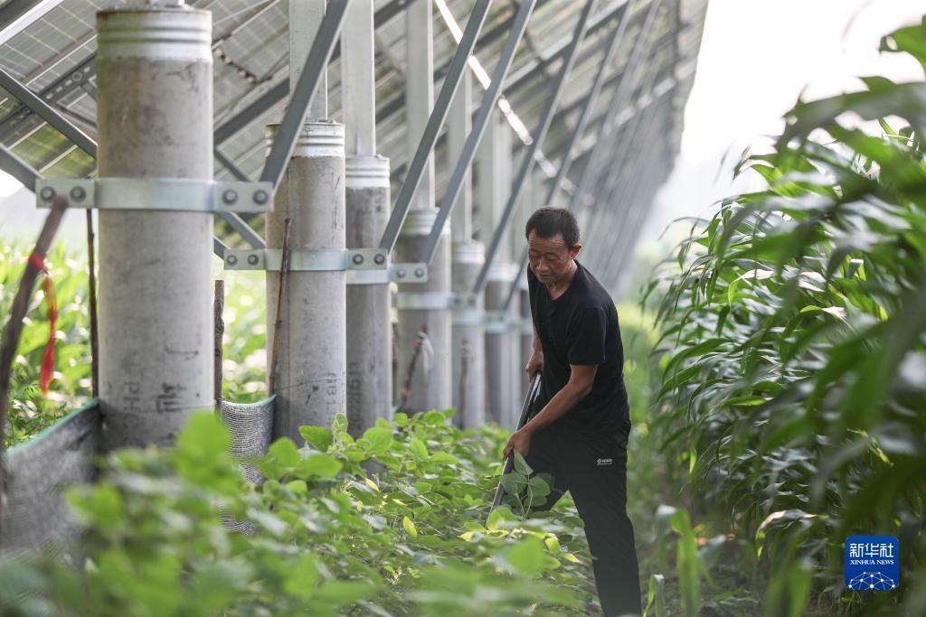 最新千万炸金花